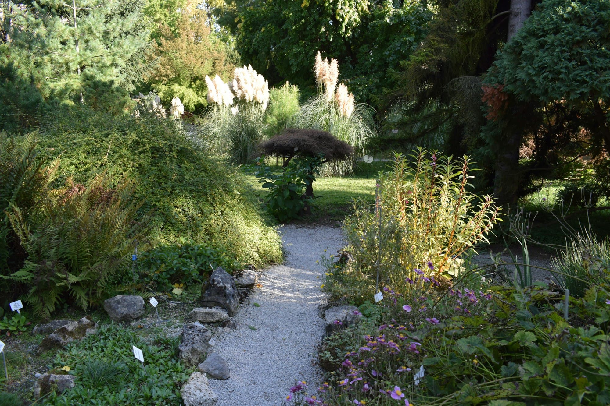 A stone path through densely planted garden borders