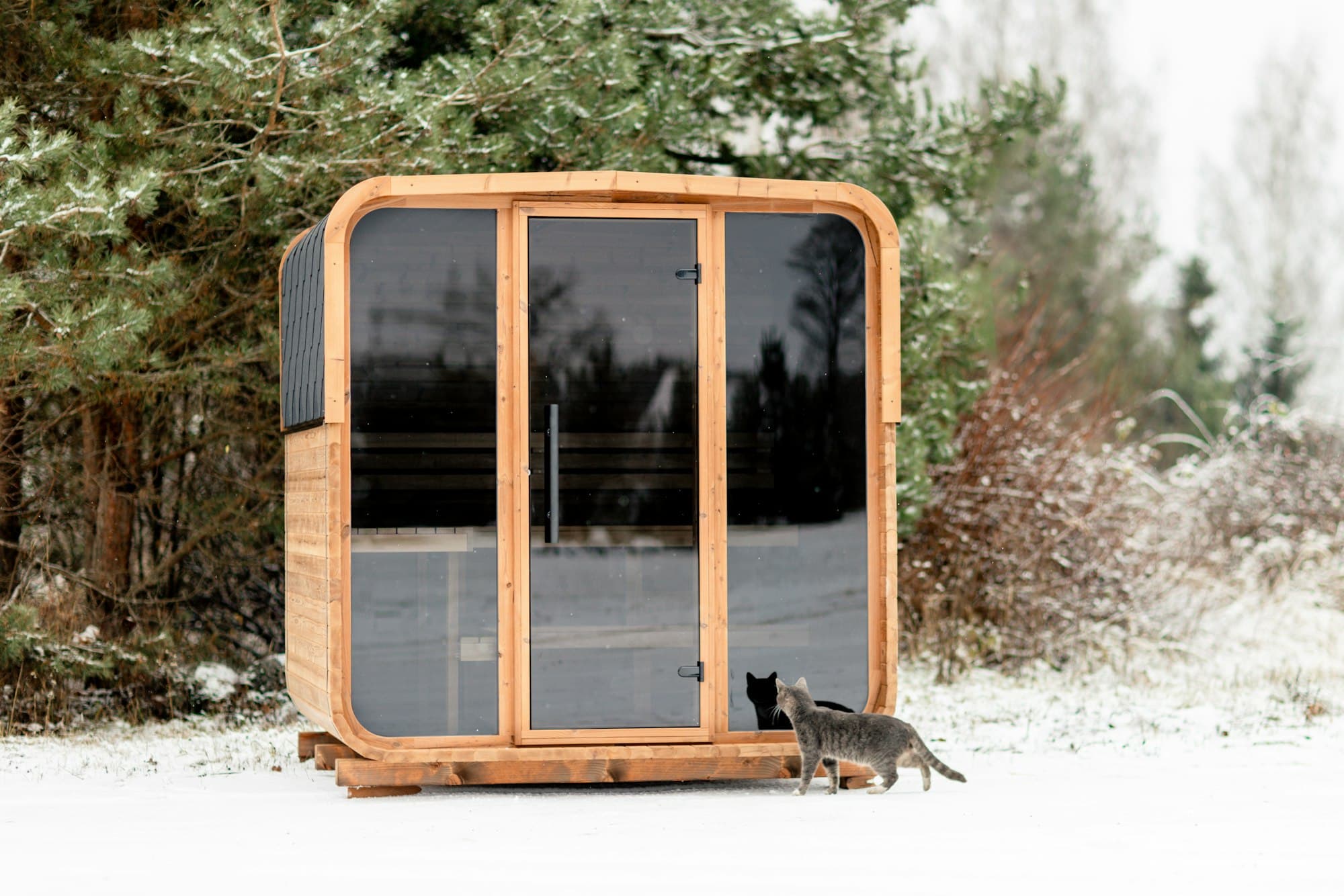 A timber sauna cabin with a full glass front, standing in snow