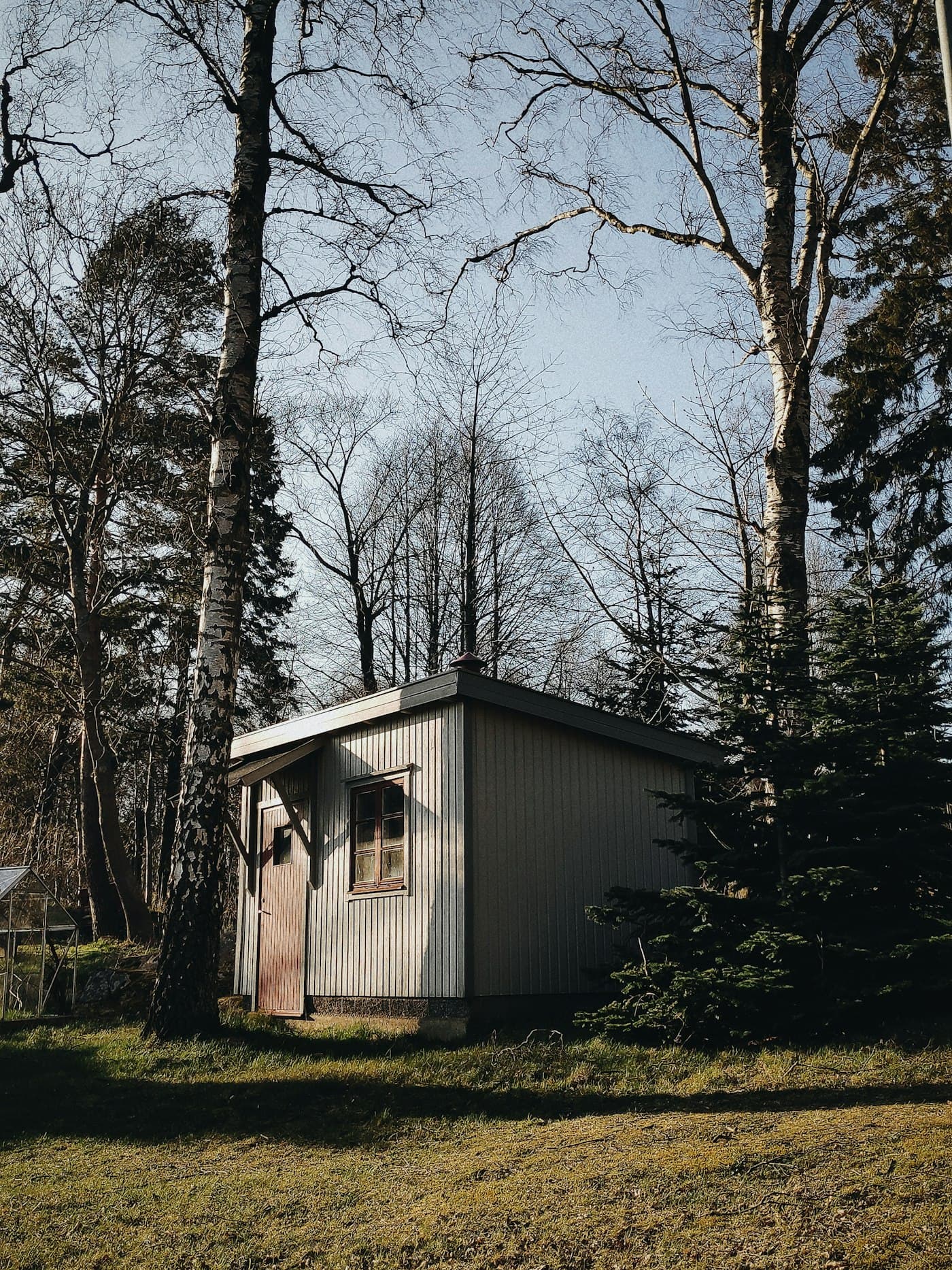 A small pale-clad garden building with a mono-pitch roof among tall trees