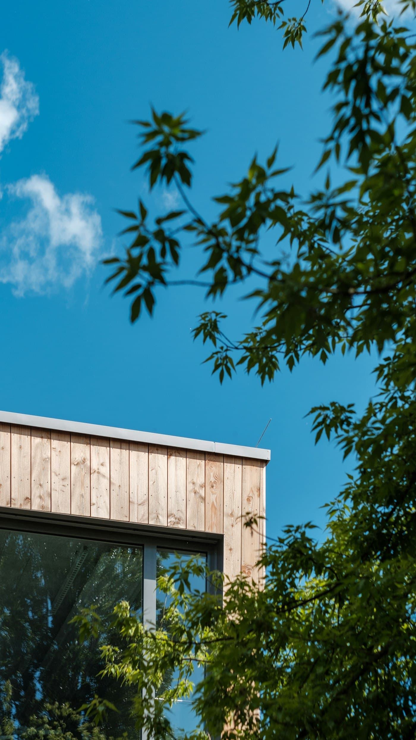 The corner of a flat-roofed timber-clad building against a blue sky, framed by leaves