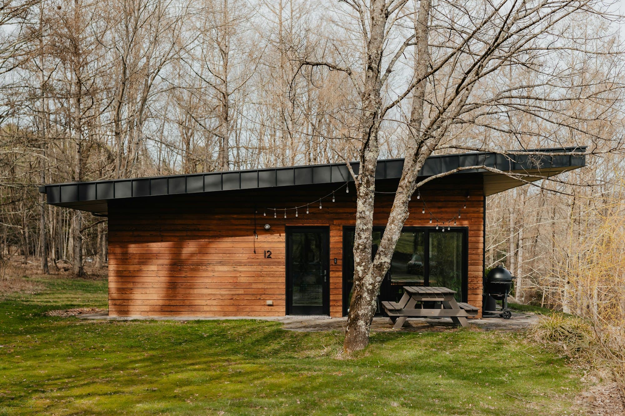 A timber-clad garden building with a dark roof and glazed doors beside a birch tree