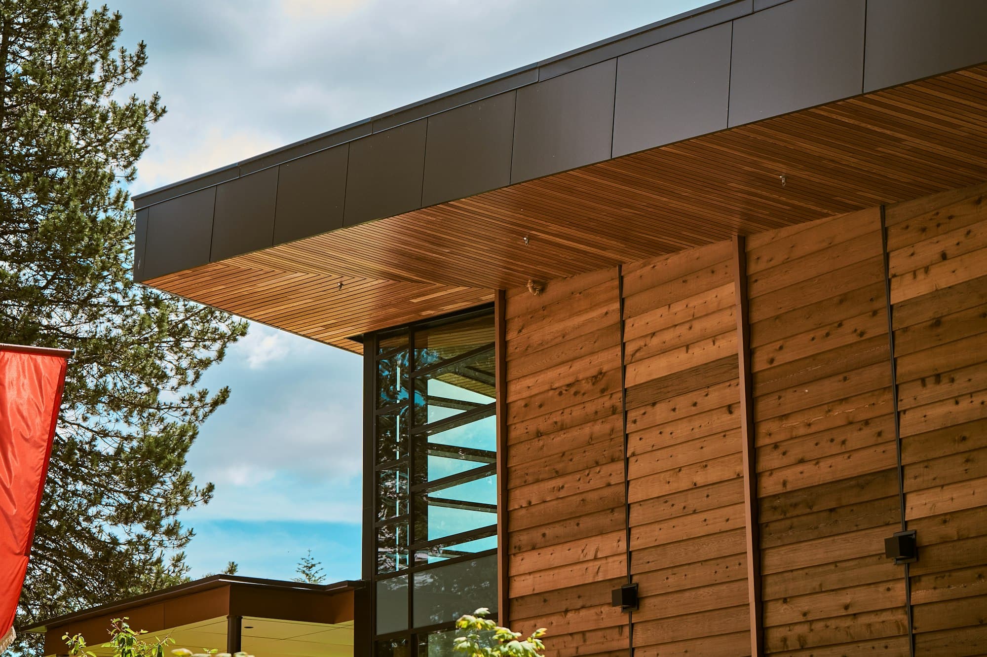 A timber-lined roof overhang above timber cladding and a tall window